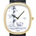 Pre-Owned Timex x Noah Lighthouse TW2Y55400