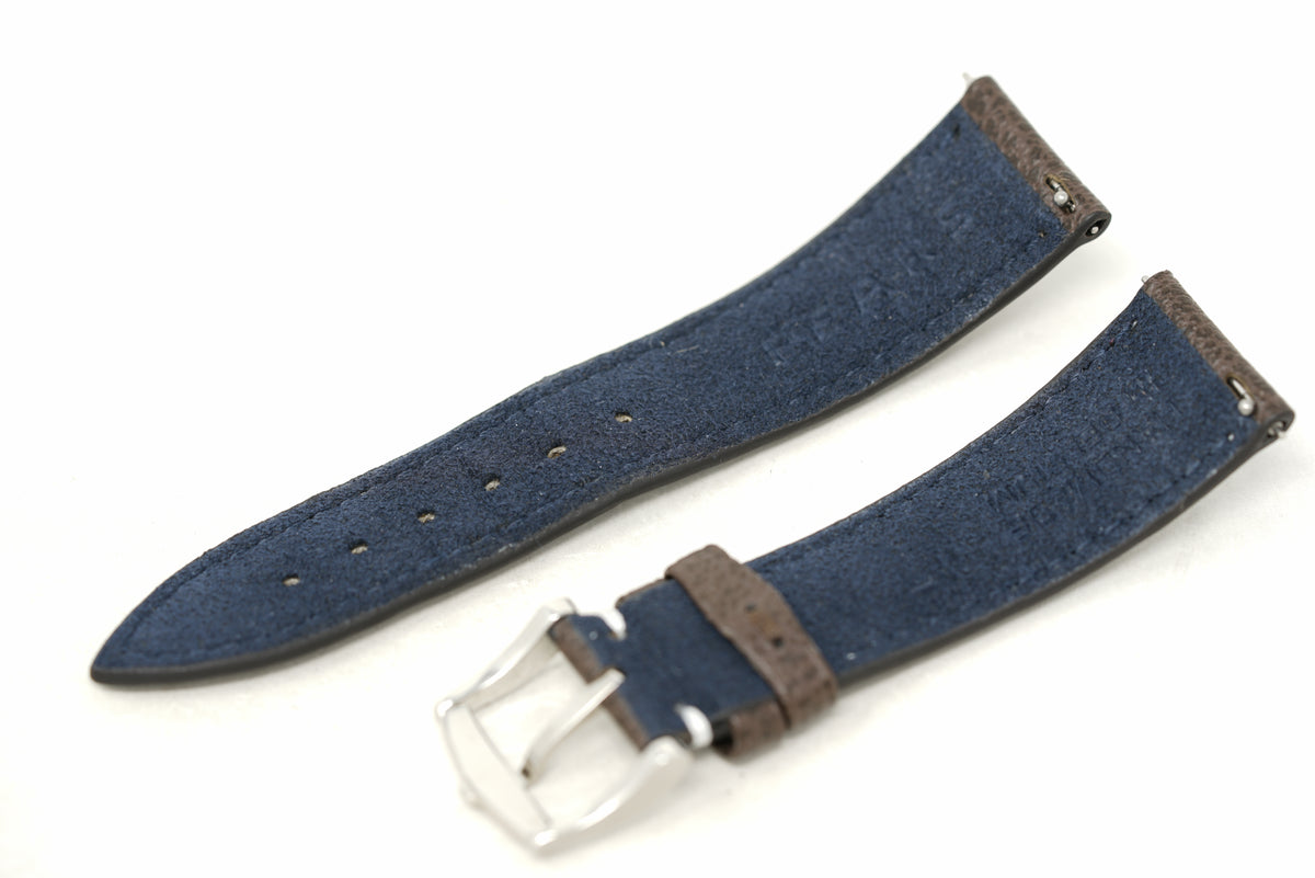 Pre-Owned Fears Brunswick 40 Filton 'Squadron Green'