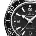 Omega Seamaster Planet Ocean 600m 217.30.42.21.01.001
