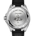 Omega Seamaster Planet Ocean 600m 217.32.42.21.01.003
