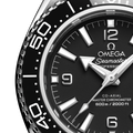 Omega Seamaster Planet Ocean 600m 217.32.42.21.01.001