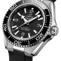 Omega Seamaster Planet Ocean 600m 217.32.42.21.01.001