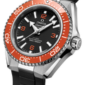Omega Seamaster Planet Ocean 600m 217.32.42.21.01.003