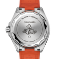 Omega Seamaster Planet Ocean 600m 217.32.42.21.01.004