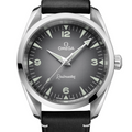 Omega Seamaster Railmaster 38mm 235.12.38.20.06.001