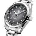 Omega Seamaster Railmaster 38mm 235.10.38.20.06.001