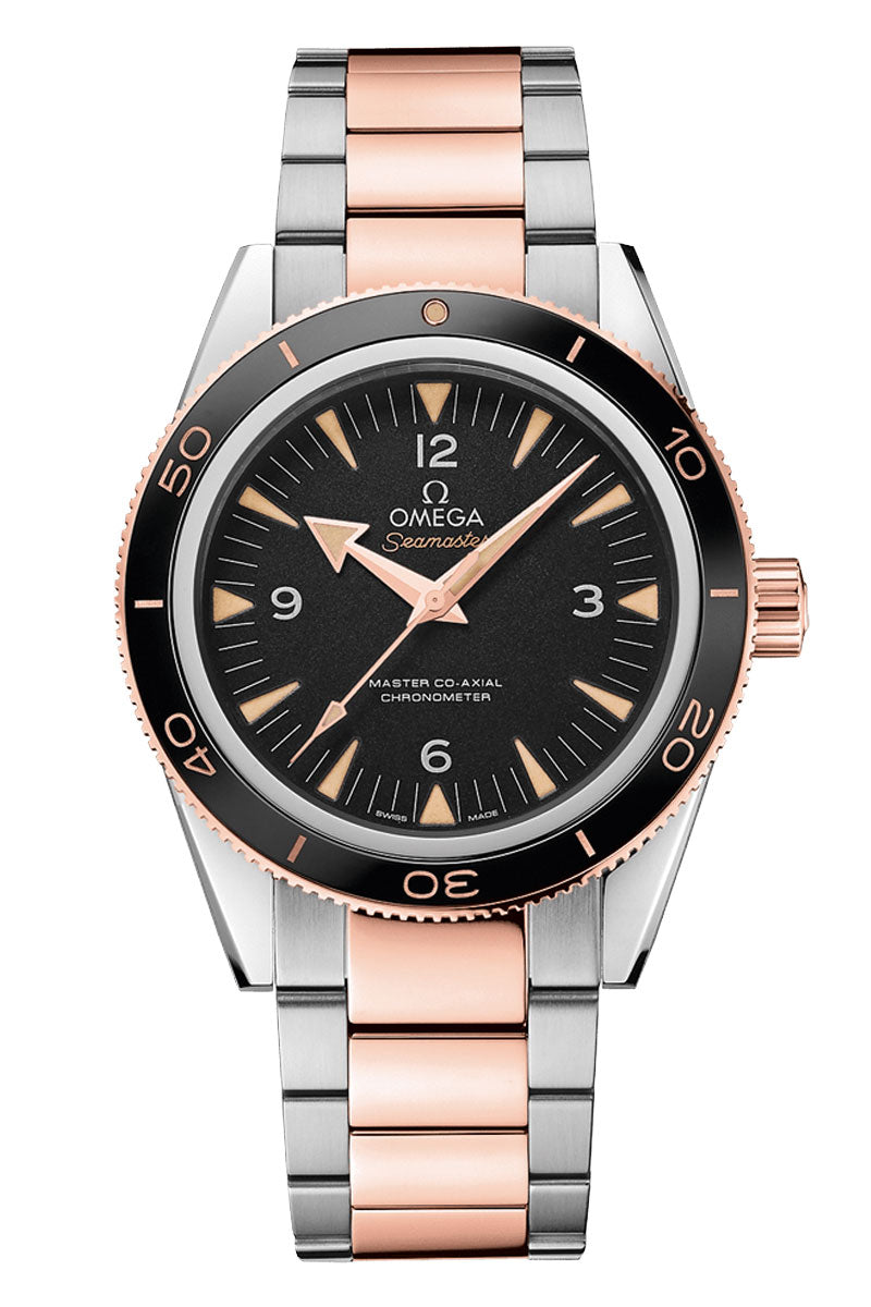 Omega Seamaster Seamaster 300 233.20.41.21.01.001